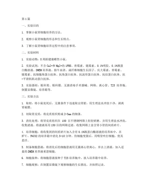 小鼠肾细胞实验报告(3篇)