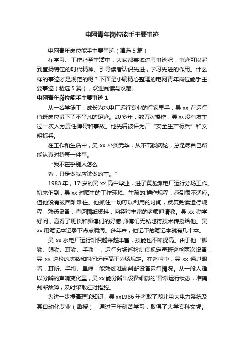 电网青年岗位能手主要事迹