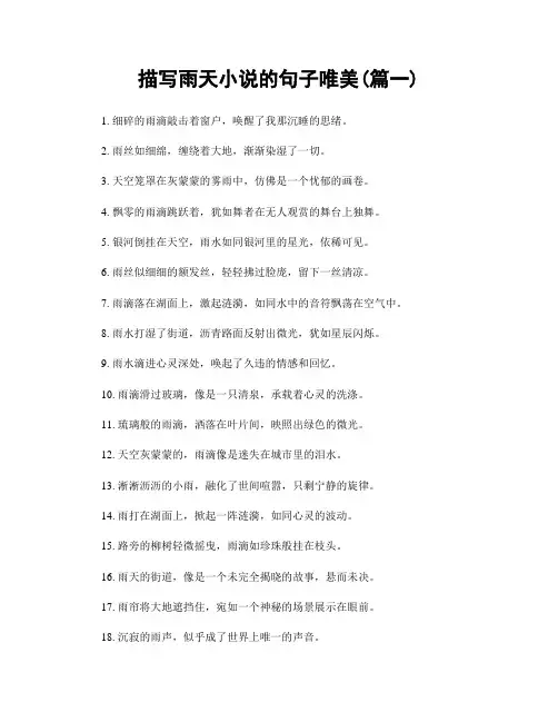 描写雨天小说的句子唯美(精选两篇)