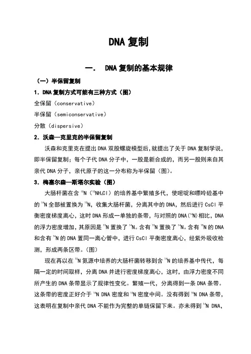 DNA复制