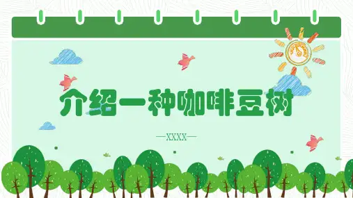 介绍一种咖啡豆树
