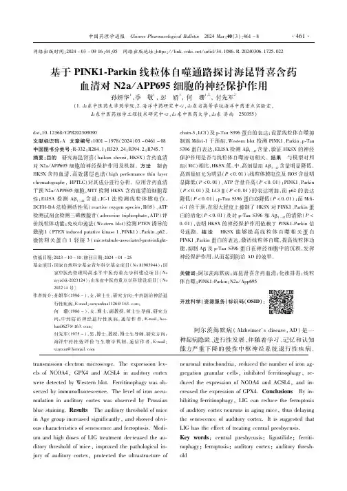 基于PINK1-Parkin线粒体自噬通路探讨海昆肾喜含药血清对N2a／APP695细胞的神经保护作