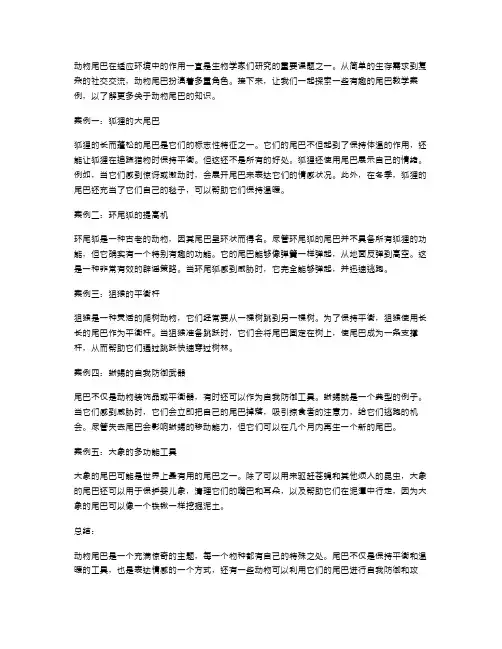 探索动物尾巴在适应环境中的作用——趣味有趣的尾巴教学案例