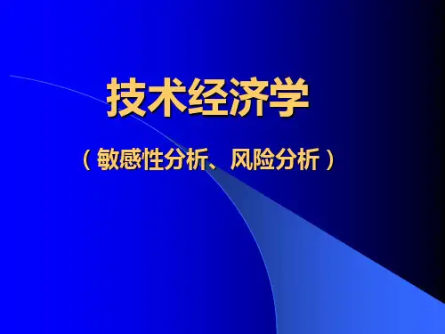 技术经济学(敏感性分析、风险分析)