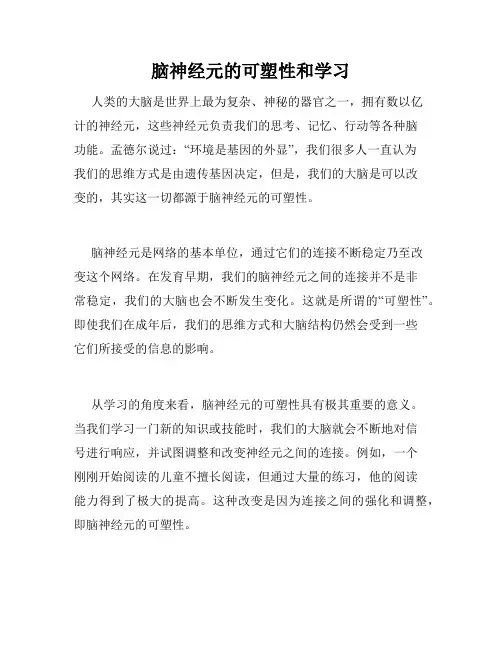 脑神经元的可塑性和学习