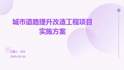 城市道路提升改造工程项目实施方案
