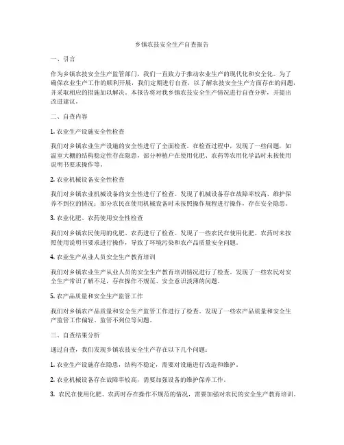 乡镇农技安全生产自查报告