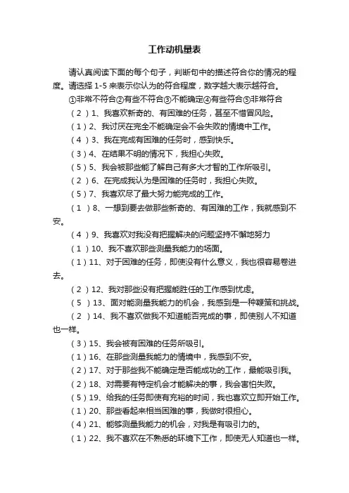 工作动机量表