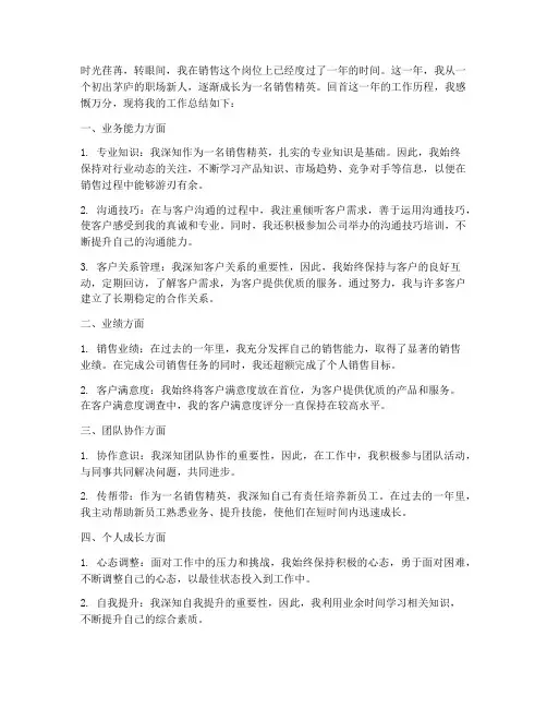 销售精英总结范文