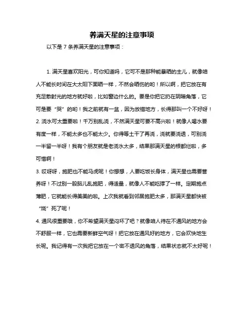养满天星的注意事项
