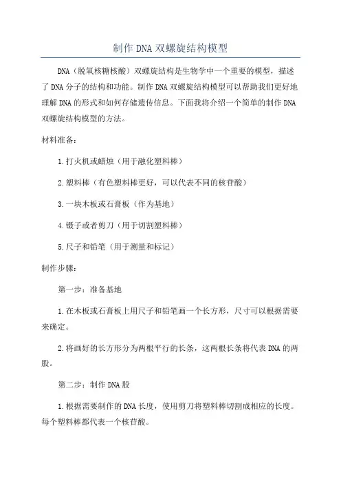 制作DNA双螺旋结构模型
