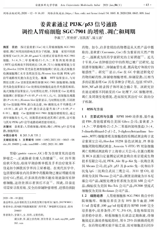 姜黄素通过PI3Kp53信号通路调控人胃癌细胞SGC-7901的增殖、凋亡和周期