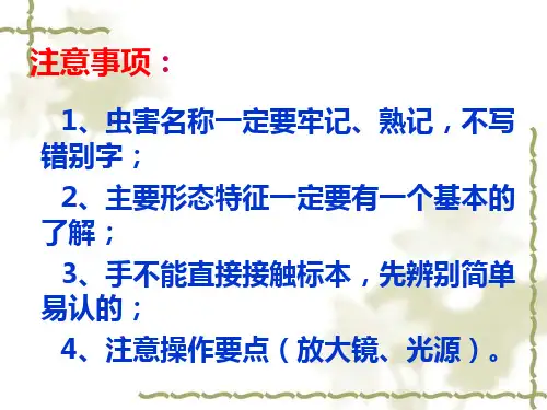 储粮害虫的识别和检查40页PPT文档