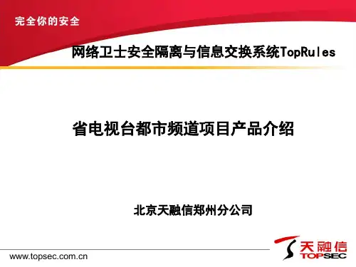 天融信_TopRules售前培训