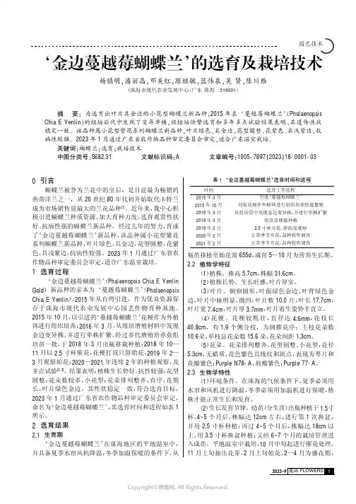 ‘金边蔓越莓蝴蝶兰’的选育及栽培技术