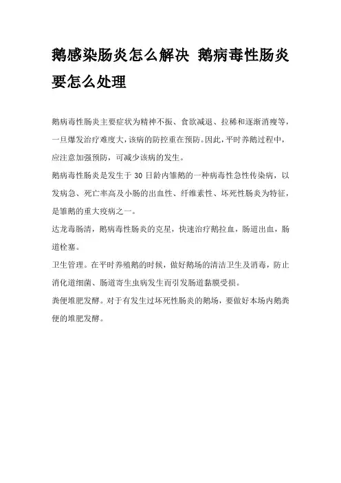 鹅感染肠炎怎么解决 鹅病毒性肠炎要怎么处理