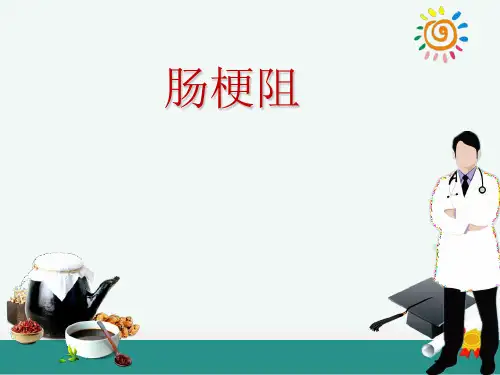 肠梗阻精PPT课件