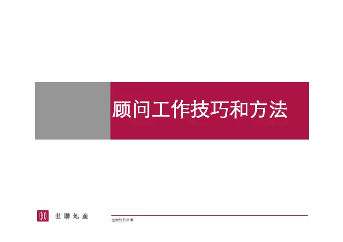 顾问工作技巧和方法