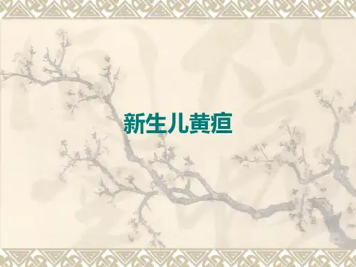 儿科学：第七章第九节 新生儿黄疸