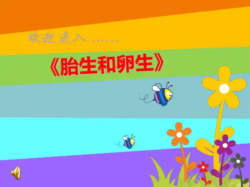 大班科学胎生和卵生ppt课件