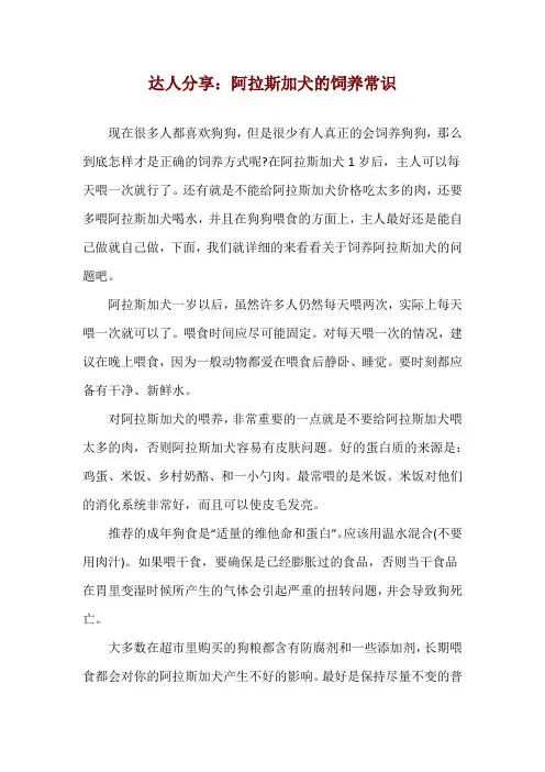 达人分享：阿拉斯加犬的饲养常识