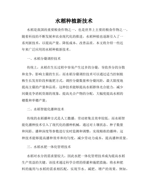 水稻种植新技术