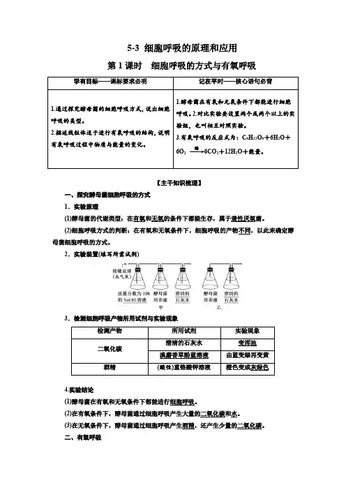 人教生物必修1教案：5-3 细胞呼吸的原理和应用 第1课时 细胞呼吸的方式与有氧呼吸