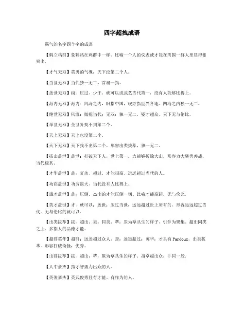 四字超拽成语