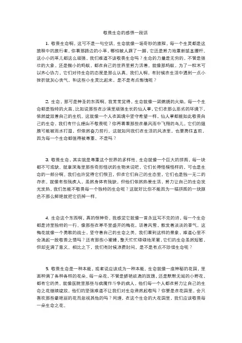 敬畏生命的感悟一段话