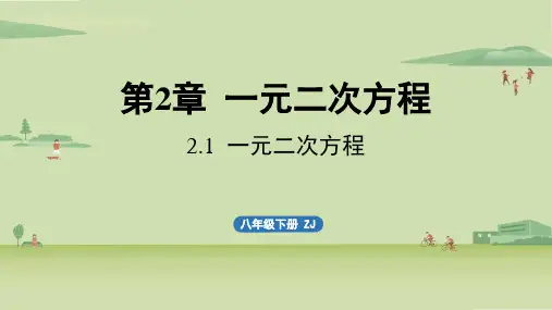 浙教版初中八年级下册数学精品教学课件 第二章 一元二次方程2.1 一元二次方程