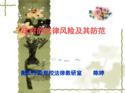 政府的法律风险及其防范