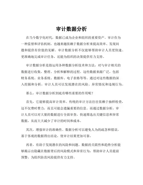 审计数据分析
