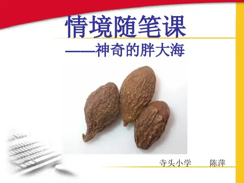 神奇的胖大海