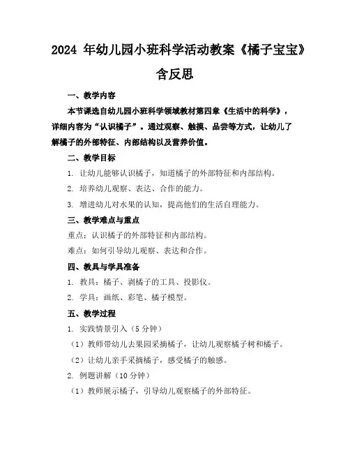 2024年幼儿园小班科学活动教案《橘子宝宝》含反思