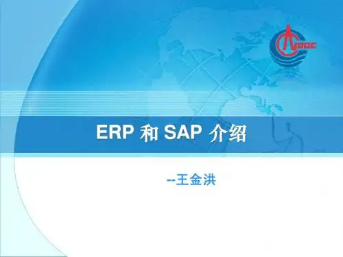 ERP 和 SAP 介绍0