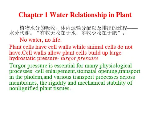 ppt植物生理学chapter01 water relationship