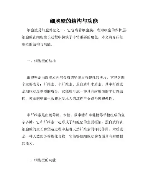 细胞壁的结构与功能