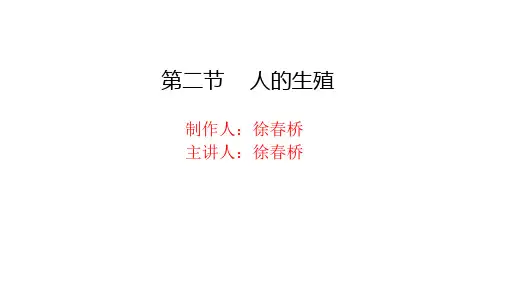 2第二节  人的生殖xuchunqiao