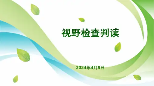 视野检查判读方法