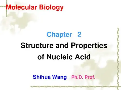 分子生物学课件(第二章)