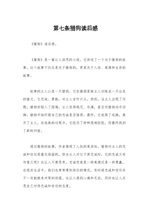 第七条猎狗读后感