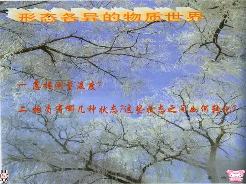 分度值量程寒暑表体温计试验温度计