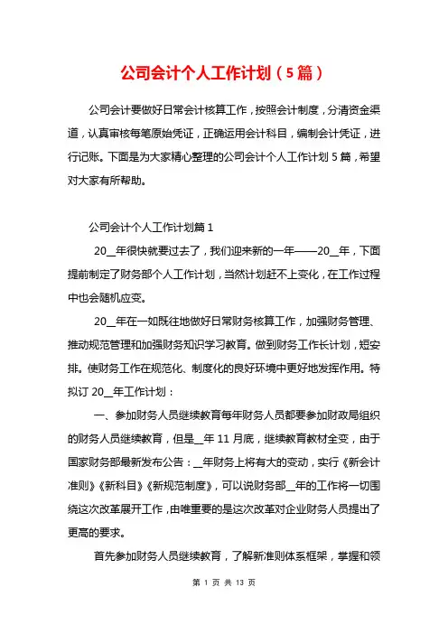 公司会计个人工作计划(5篇)