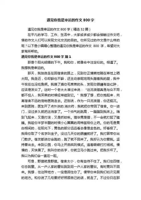 遇见你我是幸运的作文800字（精选32篇）