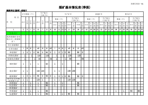 老高川煤矿基本情况表(季报)(6)1(1)