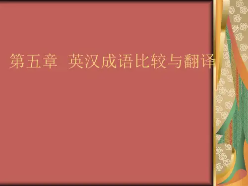 英汉比较与翻译第五章  英汉成语比较与翻译