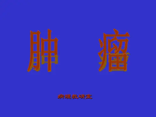 病理学教学课件：第六章 肿瘤总论3