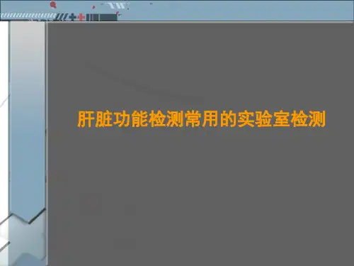 6肝脏功能检测常用的实验室