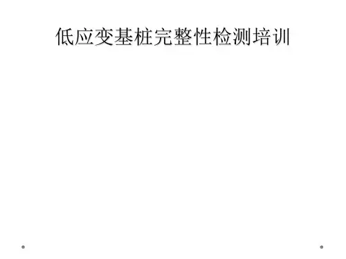 低应变基桩完整性检测培训