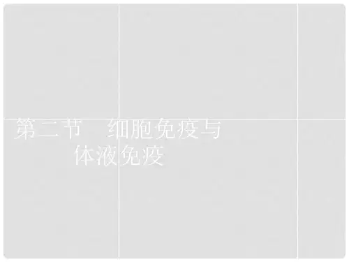 高中生物 1.4.2细胞免疫与体液免疫课件 中图版必修3
